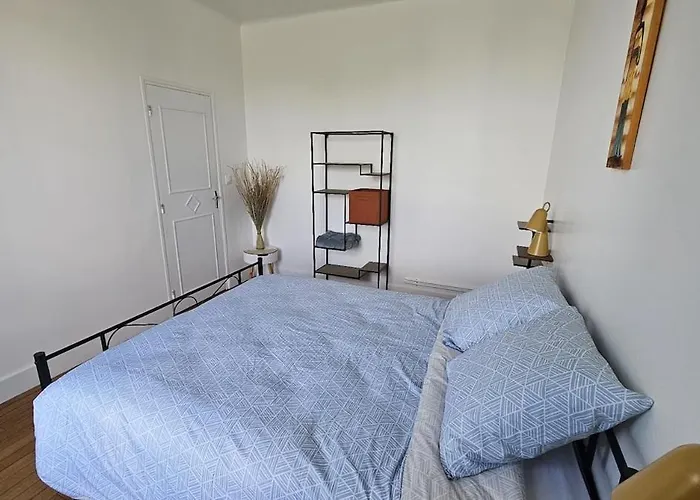 Apartamento Avec Vue Sur Meurthe Nancy